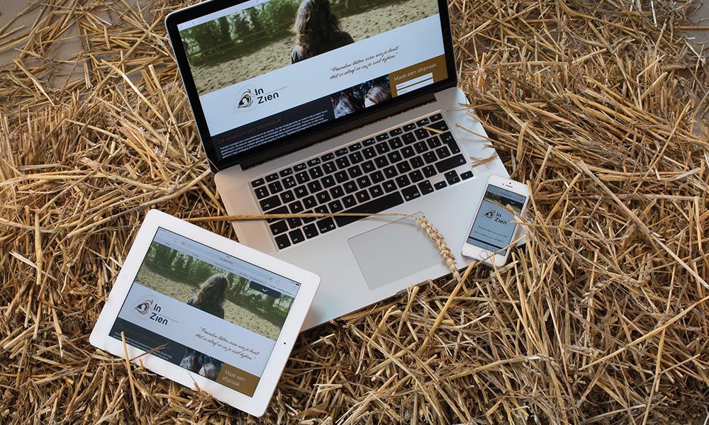In Zien website